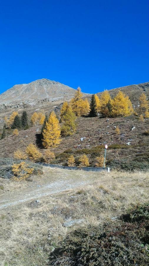 Apartmán Balcone Sulle Dolomiti 2 Dosoledo Exteriér fotografie
