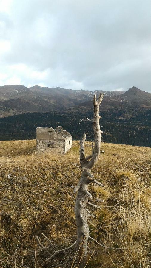 Apartmán Balcone Sulle Dolomiti 2 Dosoledo Exteriér fotografie