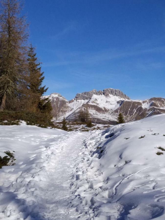 Apartmán Balcone Sulle Dolomiti 2 Dosoledo Exteriér fotografie